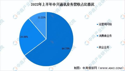 2022年中國通信設備行業(yè)市場前景及投資研究報告（簡版） 聚焦信息系統(tǒng)集成服務